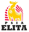 psia elita logotyp 2.png